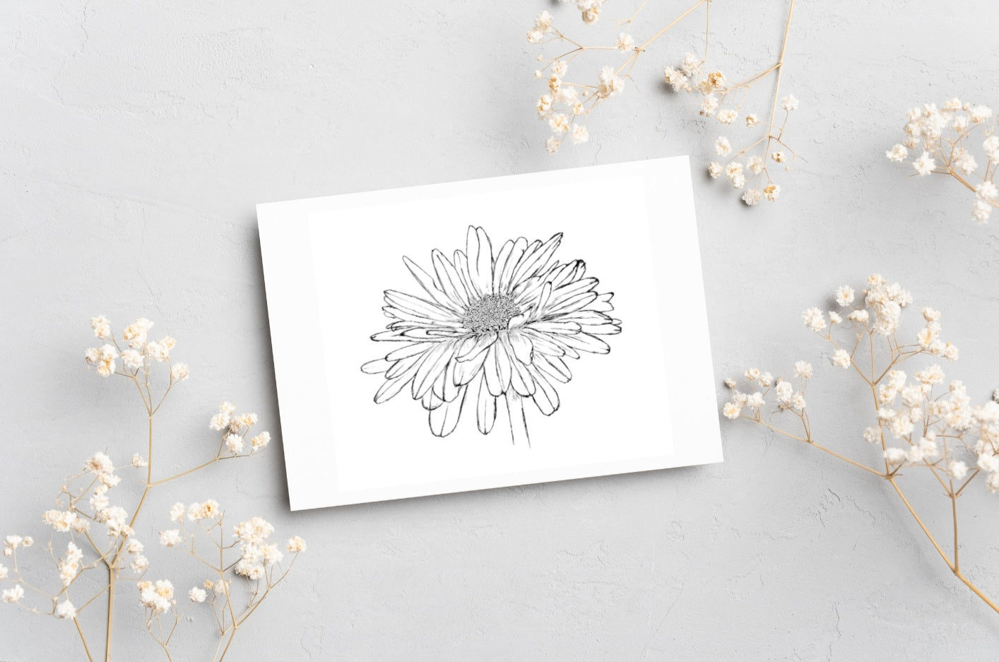 Aster sticker