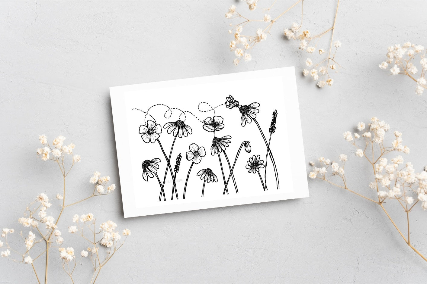 Meadow postcard