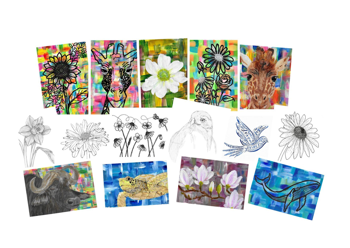 Aster sticker