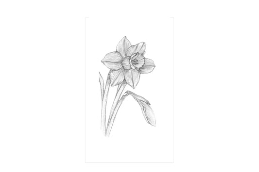 Daffodils