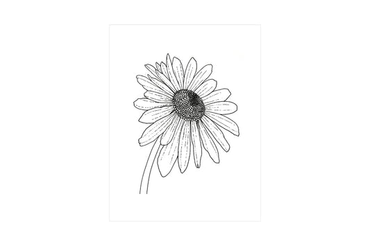 Daisy bloom