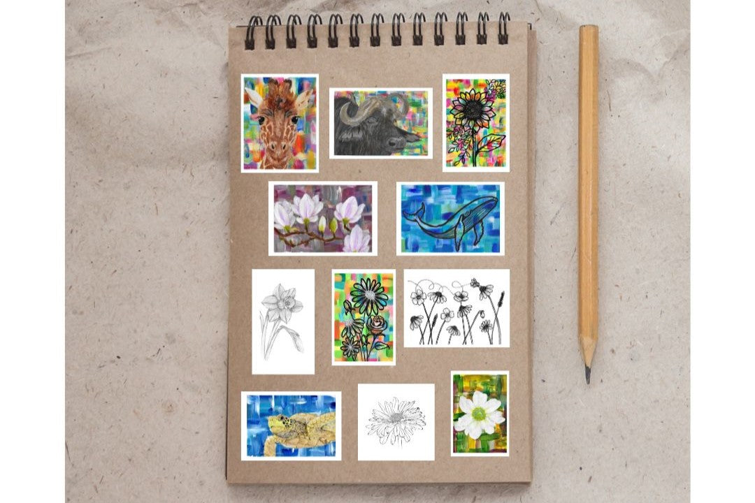Aster sticker